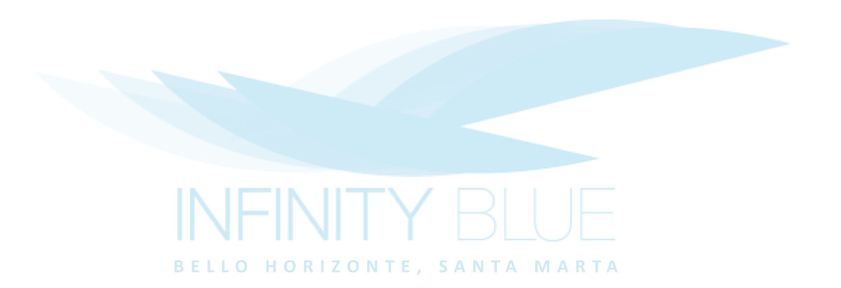 Logo Infinity blue santa marta